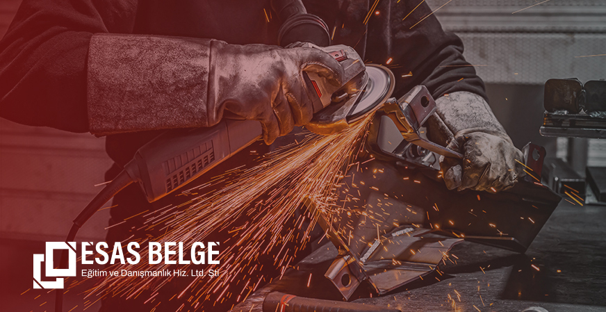 Çelik Yapılandırmacı Eğitimi - Esas Belge